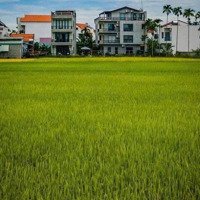 Cần Bán Căn Apartment 6 Phòng + Lô Đất View Lúa Bên Cạnh Dòng Tiền Ổn Định Vị Trí Đẹp Hội An