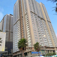Cần Bán Lỗ 150 Triệu Căn 3 Phòng Cc Vũng Tàu Pearl , View Biển. Lh E Yến 0792366350