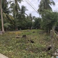 CƠ HỘI VÀNG SỞ HỮU LÔ ĐẤT 675M² TẠI Nhị Bình, CT, TG Còn thương lượng