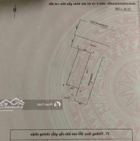 Spcc, Lô Góc Mặt Đường 40M View Công Viên Vườn Hoa Đất Tái Định Cư Tràng Cát (C268) Liên Hệ: 0917696698