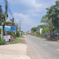 Bán Đất 400M2 (10X40M) Thổ Cư Mặt Tiền Đường Gần Nhựa Bàu Trai, Xã Tân Phú, Huyện Đức Hòa, Long An