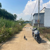 Bán Nhanh Lô Đất Gộp Rẻ Hơn Thị Trường Gần 200 Triệu Sổ Riêng, Thổ Cư Tây Hoà, Trảng Bom, Đồng Nai.