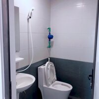 BÁN CCMN NGÕ 170 TÂN TRIỀU – 44M² – 12 PHÒNG – GẦN CHỢ TRIỀU KHÚC