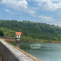 Chính Chủ Kẹt Tiền Bán 6950 M2 Mặt Tiền Tỉnh Lộdiện Tích725, Lộc Ngãi, Bảo Lâm, Lâmđồng, Giá Chỉ 4,5 Tỷ.