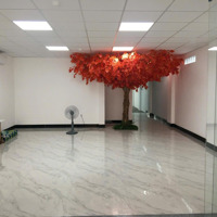 Toà Nhà 800M2 Sàn Đường Cộng Hoà, Quận Tân Bình - 6,5X31M - 5 Tầng - Hđ Thuê 120 Triệu - Giá: 35 Tỷ