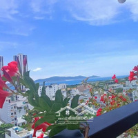 [ Toà Căn Hộ 7 Tầng _ 2 Mặt Tiền ] *** Sát Bến Du Thuyền Nha Trang *** Giá Bán 20 Tỷ Có Tl