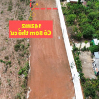 Quảng Thành Châu Đức Bán Rẻ 1 Lô Duy Nhất 399 Triệu Diện Tích: 142M2 Có 80M2 Thổ Cư
