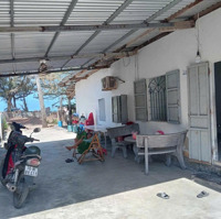 Bán 442M2 Có Nhà Cấp 4 Sẵn Tại Bãi Biển Gành Đỏ, Sông Cầu, Phú Yên, Giá: 3,4 Tỷ