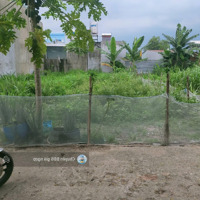 Đất Sổ Riêng Qh Đất Ở Đô Thị, Kp 4, Trảng Dài - Biên Hòa - Đồng Naicó Thương Lượnggiá Liên Hệ 0764751240
