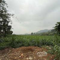 Chính Chủ Cần Bán Lô Đất Nghỉ Dưỡng Viu Tuyệt Đẹp Tại Thôn Quýt, Yên Bài, Ba Vì, Hà Nội