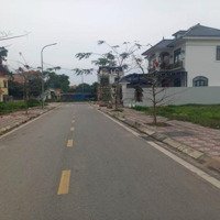 Bán Đất Mặt Đường Trung Tâm Quận Đồ Sơn