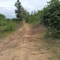 Bán Đất Xã Sông Cầu, Khánh Vĩnh Giá Chỉ 77K/M2 Gần Cụm Công Nghiệp Sông Cầu Liên Hệ: 0788.558.552
