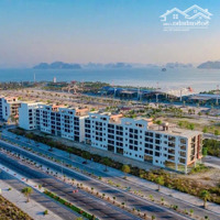 Bảng Hàng 30/4 1/5 Dự Án Phương Đông Vân Đồn : Lk 18 19 20 21 10 11 12 Biệt Thự 300M2 Giá Bán 24 Triệu M2