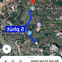 Bán 5 Sào 1 Đất Bình Châu Có 300M2 Thổ Cư, Có 92M Mặt Tiền Đường Nhựa, Vườn Nhãn Xuồng Gần Biển
