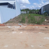 Đất Nền Bán Tại Tập Đoàn 4, Xã Tân Kim, Cần Giuộc, Diện Tích 5X32M2/160M2 Giá Ưu Đãi 590 Triêụ Shr