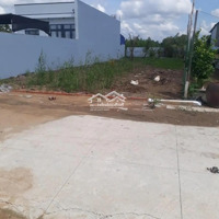 Đất Nền Bán Tại Tập Đoàn 4, Xã Tân Kim, Cần Giuộc, Diện Tích 5X32M2/160M2 Giá Ưu Đãi 590 Triêụ Shr