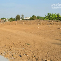 Bán Đất Nền Phân Lô Tại Đường Quốc Lộ 50, Xã Tân Trung, Tp Gò Công Diện Tích 5X30M2/150M2 Giá 500 Triệu