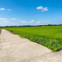 Chỉ 2Xx Triệu/Sào Đất Lúa 2 Mặt Đường Oto Tại Xã Cam Thành Bắc 0382535481 Huy