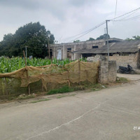 Hàng Phân Lô Dành Cho Các Shark, 294M2 Giá Siêu Đẹp Chỉ 16,5 Tại Nam Phương Tiến, Chương Mỹ Hà Nội