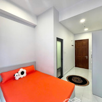Căn Hộ Studio Ban Công 30M2 Cộng Hoà Tân Bình