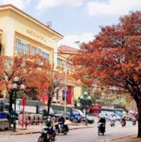Bán Nhà Mặt Phố Lê Lợi 4 Tầng Mặt Tiền Cực Rộng Ôtô Kinh Doanh Đỉnh Cao