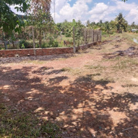 Bán Đất Nền 300M2 Tại Châu Thành, Tây Ninh