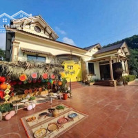Bán Trang Trại Đẹp 4162M2 Tại Ba Trại, Ba Vì, Hà Nội, 17 Tỷ Vnd