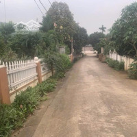 Bán Trang Trại Đẹp 4162M2 Tại Ba Trại, Ba Vì, Hà Nội, 17 Tỷ Vnd