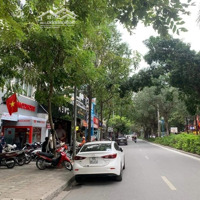 Duy Nhất, Biệt Thự Xa La 120M2X4T, Mặt Phố Hạnh Hoa, Siêu Kinh Doanh, Dòng Tiền 600 Triệu/Năm