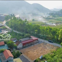 Hàng Hiếm Tại Tu Vũ, Thanh Thủy, Lô Góc, Mặt Đường Nhựa Rộng 10M, 306M2, Mtien 16M Cách Tlo 50M