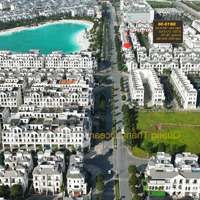 Siêu Phẩm Shophouse Góc Sao Biển 19-56 Vị Trí Siêu Vip: Chỉ 7X Tỷ