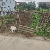 Đất Chục Chính Đào Xá Thắng Lợi
Đường Rộng 2 Ô Tô Tránh Nhaudiện Tích84M.mặt Tiềnvà Hậu 4M