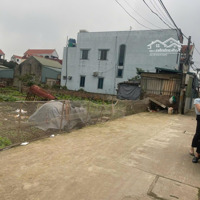 Lô Đất Siêu Hiếm Vĩnh Lộc Thư Phú Thường Tín Hà Nội Oto Đỗ Cửadiện Tích47.5M2
