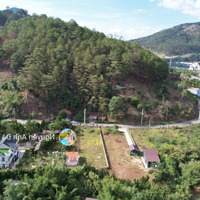 1300M2 1000M Thổ Cư Đường Tuyền Lâm Thành Phố Đà Lạt 19Tỷ