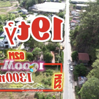1300M2 1000M Thổ Cư Đường Tuyền Lâm Thành Phố Đà Lạt 19Tỷ