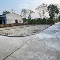 Bán Lô Góc Vip Tại Đại Tập, Tân Châu, Khoái Châu, Hy. Đường Ô Tô Thông Tứ Ngả. Giá Chỉ 1X Tr/M2