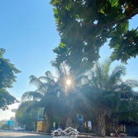 Bán Đất Kdc Hoàng Nam, Tân Bình, Dĩ An Giá Rẻ
