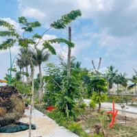 Cần Bán Đất Trung Tâm Thương Mại - Hành Chính Thủ Thừa, Giá Chỉ 18 Triệu/M², Shr