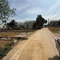 Bán Đất Gần Ubnd Xã Bình Yên, Thạch Thất 135M Giá Tốt
- Cần Bán Lô Đất Cực Đẹp Tại Bình Yên, T