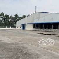 Cho Thuê Xưởng 1Ha6 Trong Kcn Nhơn Trạch Đồng Nai Giá Siêu Rẻ Vị Trí Thuận Tiện Xưởng Đẹp