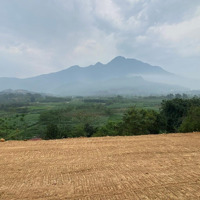 Tài Chính Nhỉnh 3 Tỷ Quý Ac Đã Sơ Hữu Một Lô Nghỉ Dưỡng View Cánh Đồng Tuyệt Đẹp