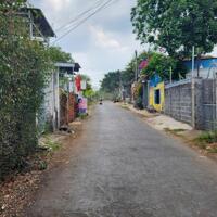  Lô này 5,5x25m tcfull 100%  Giá 725tr. Sau lưng quán cá lăn Mỹ Lan Trục chính thông khu công nghiệp, thông đường tránh dông HCM, tuyến 1 ql14. Sổ đang ở ngân hàng vay 700tr