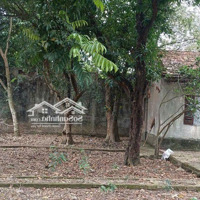 Lô Đất Duy Nhấtdiện Tích560M2 Có 300M2 Thổ Cư Tại Yên Bài, Ba Vì, Hà Nội. Giá Đầu Tư