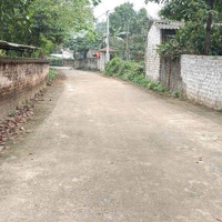 Lô Đất Duy Nhấtdiện Tích560M2 Có 300M2 Thổ Cư Tại Yên Bài, Ba Vì, Hà Nội. Giá Đầu Tư