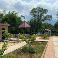 Đất Xây Nhà Vườn Xã Hòa Phú, 600M2 Có 150M3 Đất Ở Gần Vành Đai Chỉ 300..