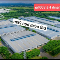 Tôi Bán Đất Thị Trấn, Có Sổ. 530 Triệu, Ô Tô 16C Đỗ - 0396246959