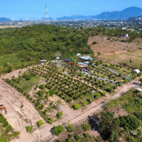 Bán Đất Vườn Làm Farm, Homestay, Nhà Vườn Nghỉ Dưỡng Giá Bán 1.5 Triệu/M2. Gọi Ngay 0969876162