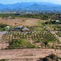 Bán Đất Vườn Làm Farm, Homestay, Nhà Vườn Nghỉ Dưỡng Giá Bán 1.5 Triệu/M2. Gọi Ngay 0969876162