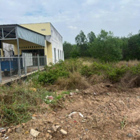 Vị Trí Đẹp Ngaymặt Tiềnđường Lớn Đt 784 Gấp Bán Lô 429M2 Ngang 10M Với Giá Siêu Rẻ Chỉ 210 Triệu/M. Có Shr