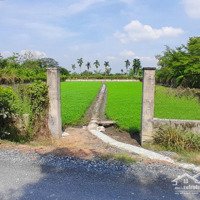 Bán Đất Vườn 2252M2 Mặt Tiền Rạch Cây Xanh Cách Đường Vành Đai 3 200M Giá Bán 13 Tỷ